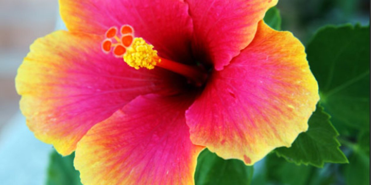 ChristinaPerry2's profile banner image