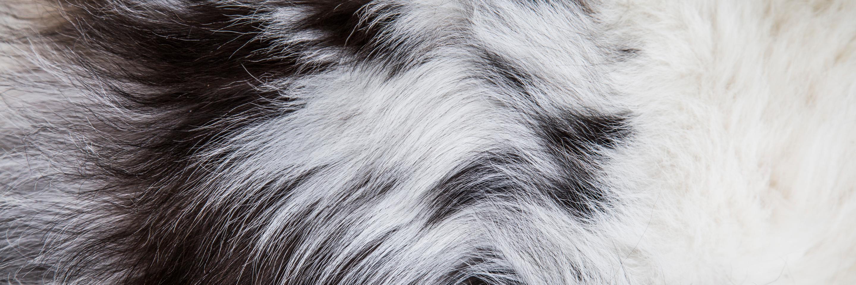 THEemerstan's profile banner image