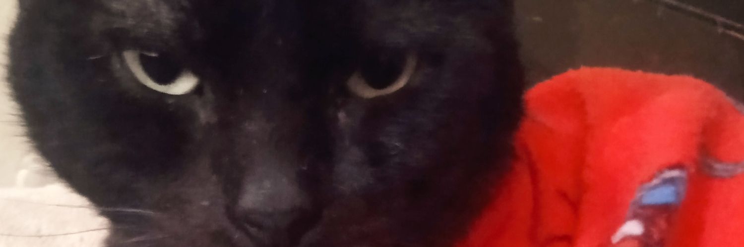 DrakoPantera9's profile banner image