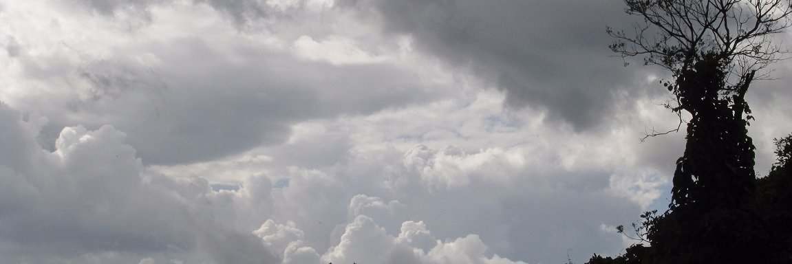 Bryan Avelar's banner