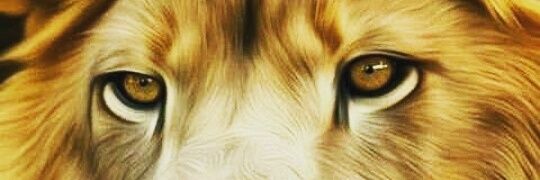 GilCasis's profile banner image