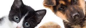 twang_this's profile banner image