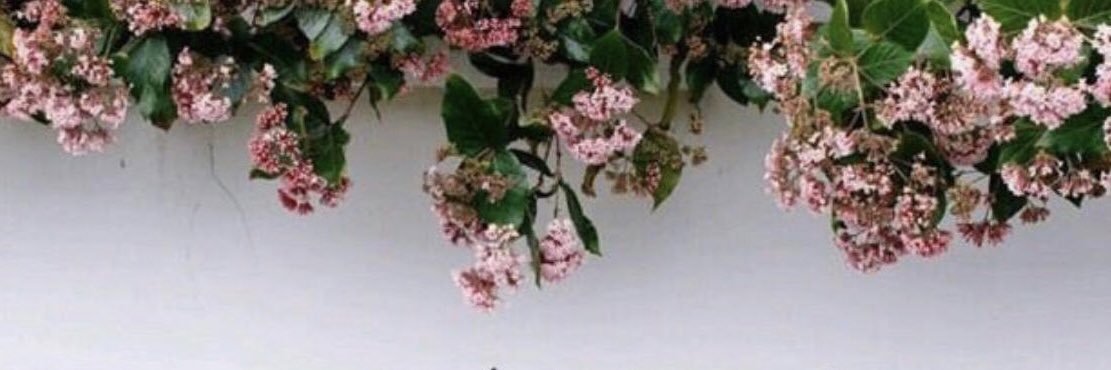 NouFi4's profile banner image