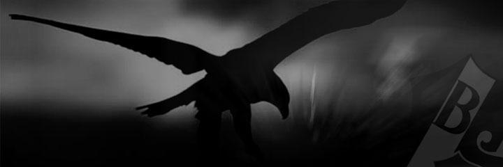 hsmdgn's profile banner image