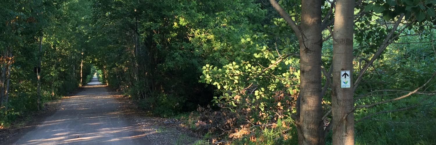 WalkBikeUx's profile banner image