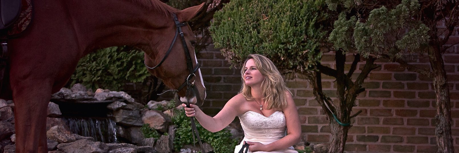 ShellyMellott's profile banner image