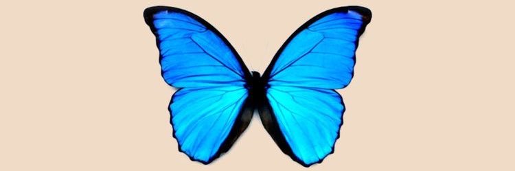 cydnihaley's profile banner image