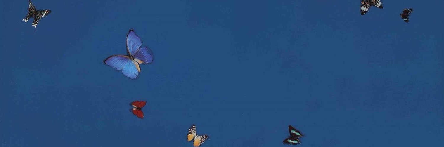 kaylielv_'s profile banner image