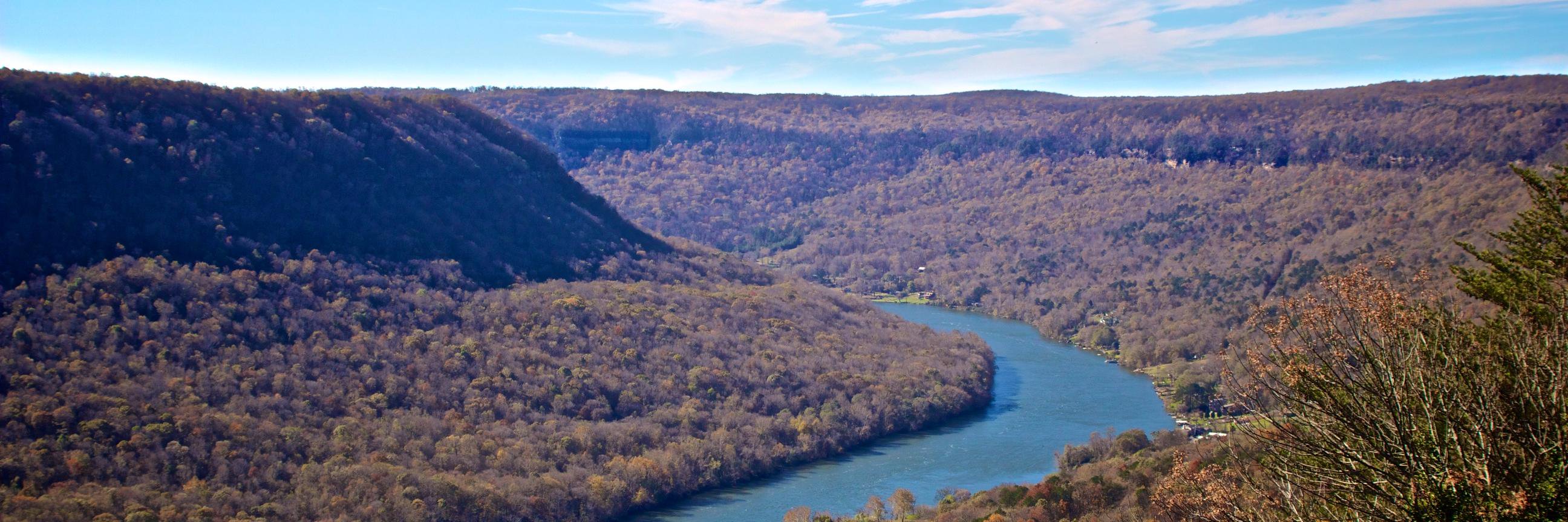 brewchatt's profile banner image