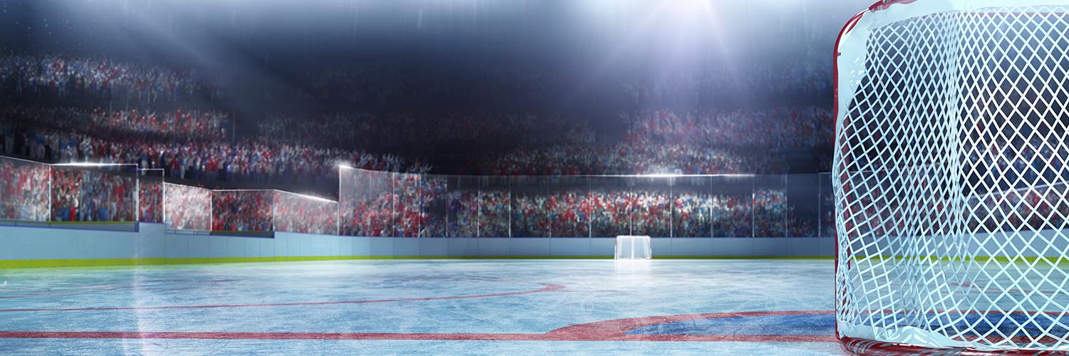 3D Hockey banner