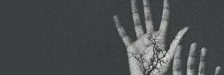 fagar1113's profile banner image