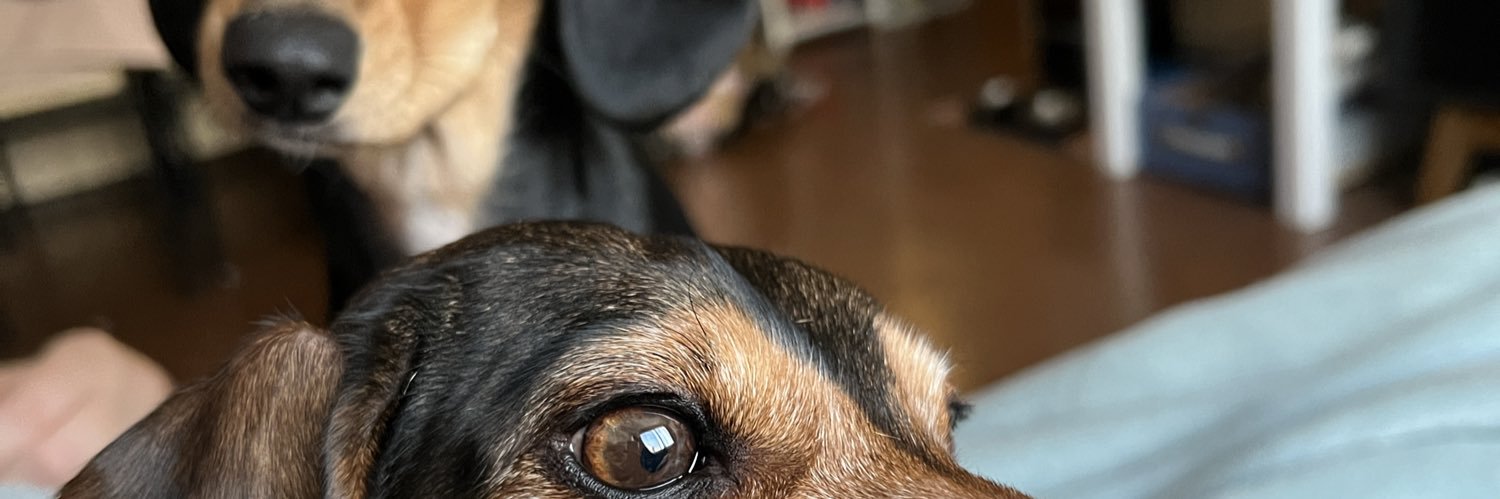 azraelbox15's profile banner image