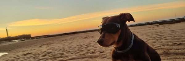 LuigiBeato Profile Banner