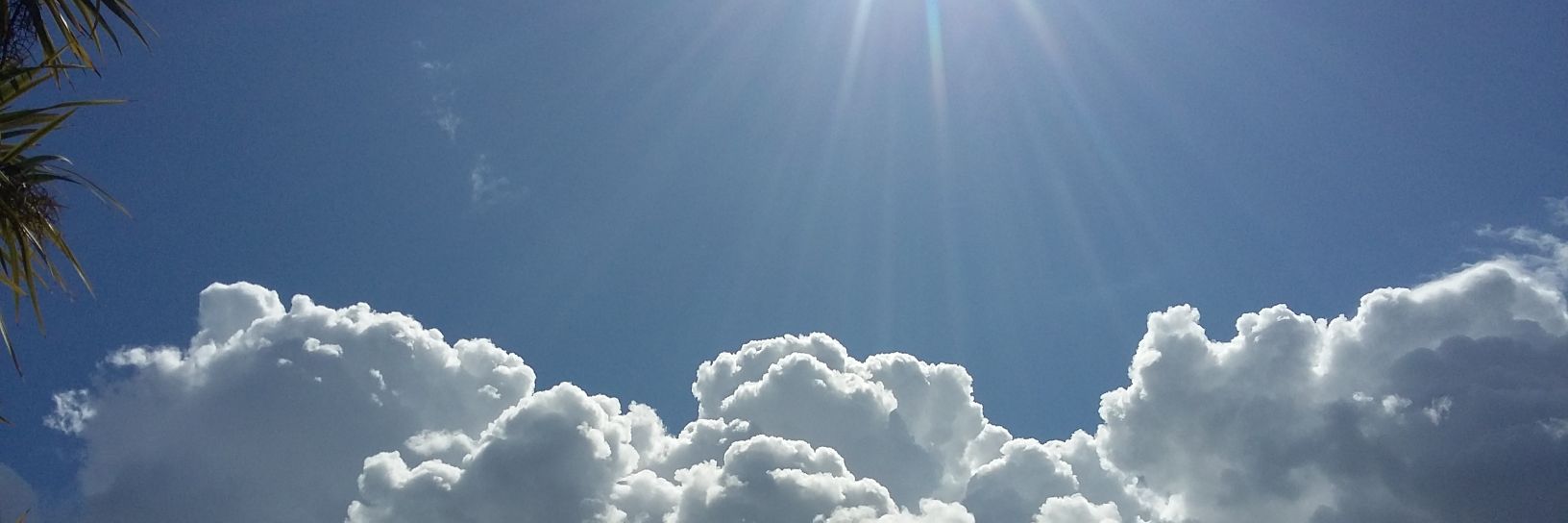 Simon Morris® banner