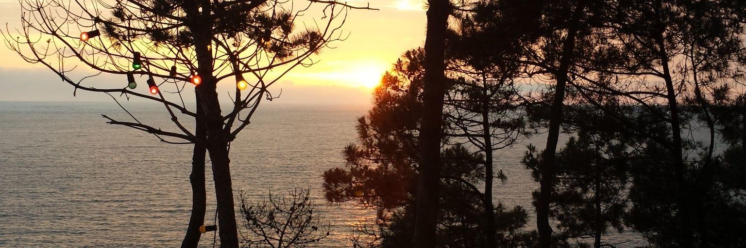 SandrineReig33's profile banner image