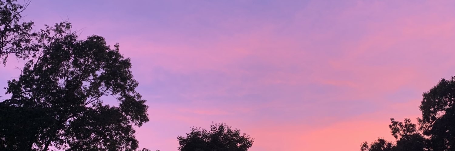 slv_28's profile banner image