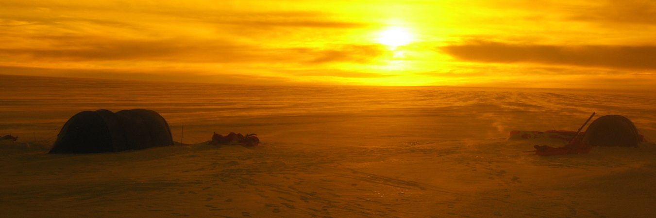 Neil Peter Walsh banner