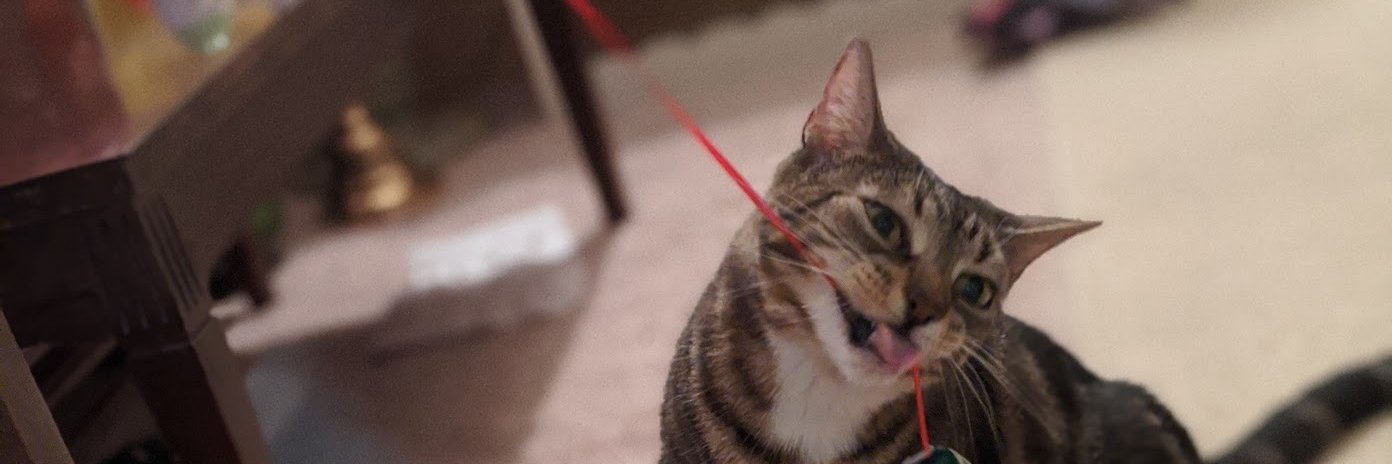 Joseph Colantonio banner