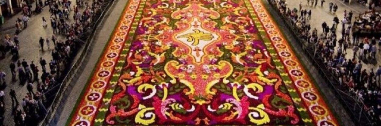 MostafaSeifm97's profile banner image