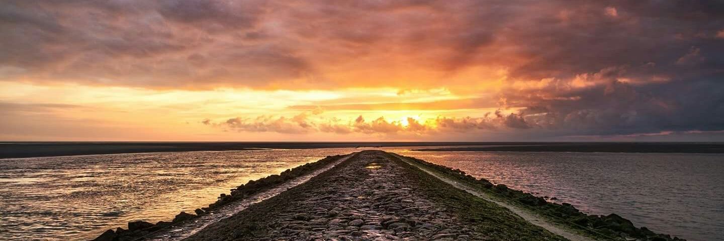 Bigand Florian banner