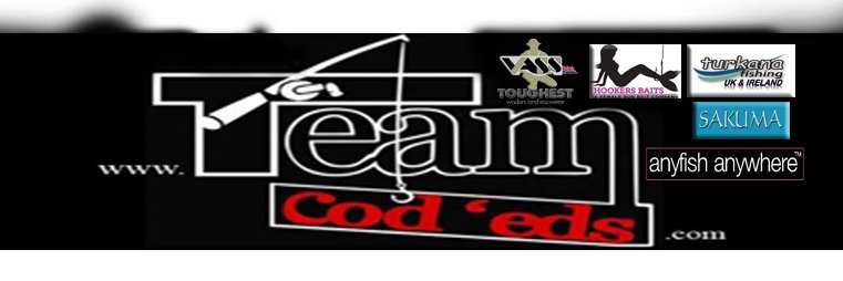 Teamcodeds's profile banner image