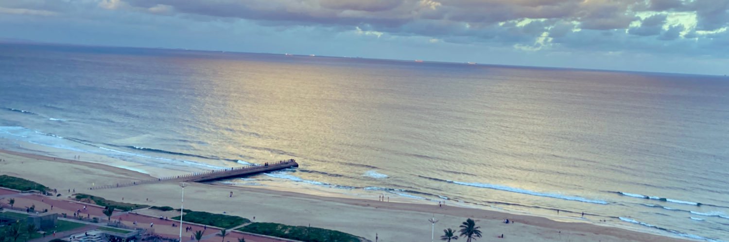 Dr. Indran A Naidoo banner