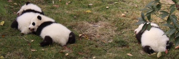 HanahJacobs Profile Banner