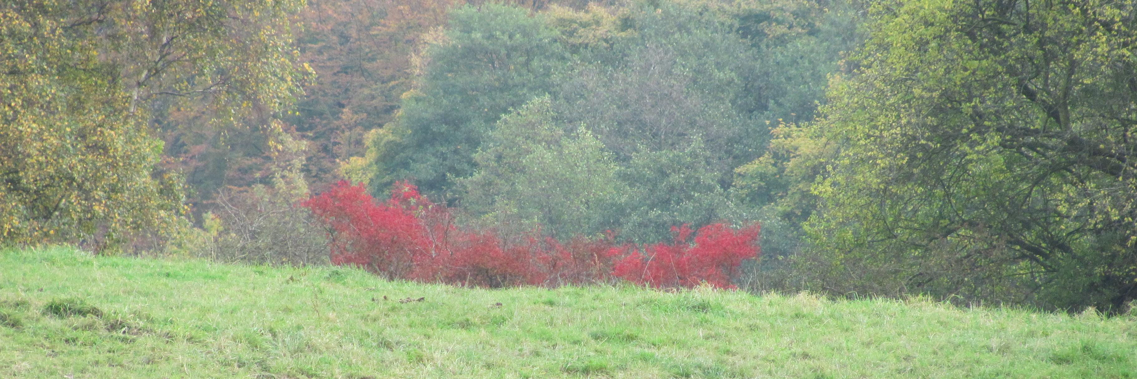 Jochen Sauer 📯 banner