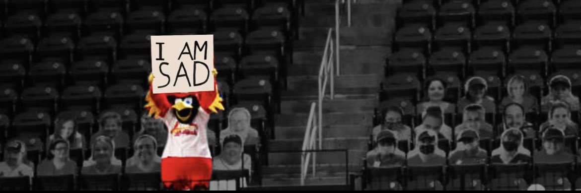 Brad Dorr banner