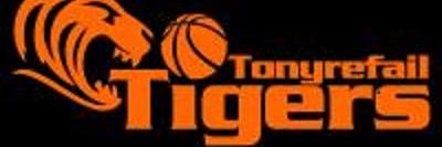 Tonyrefail Tigers banner