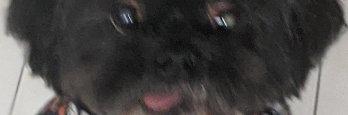 cowlip's profile banner image
