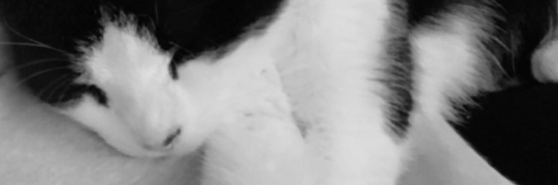RubyCalixx's profile banner image