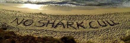 Shark Angel banner