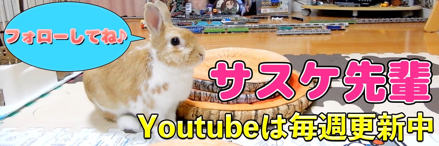 たれみみうさぎ木の葉まる banner