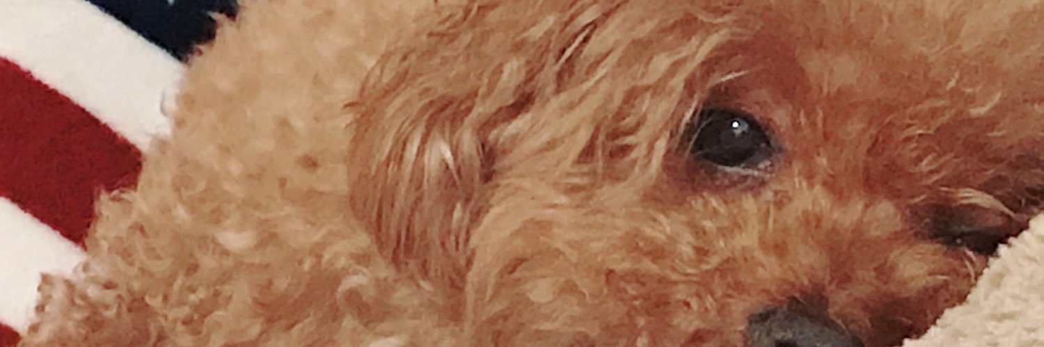yu0601ma's profile banner image
