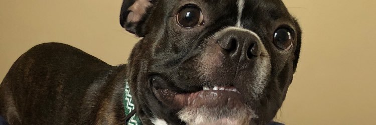 ayeomans22's profile banner image