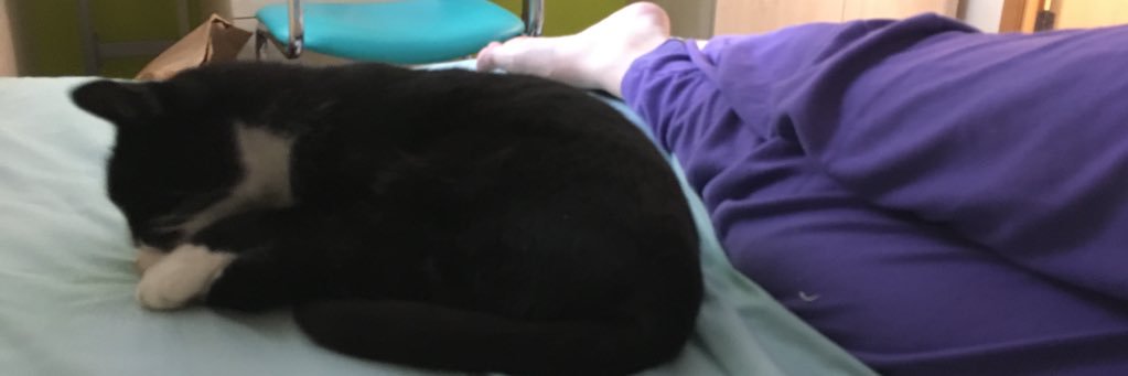 DtMBBBF's profile banner image
