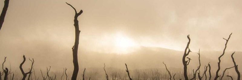 Real_ercisli's profile banner image