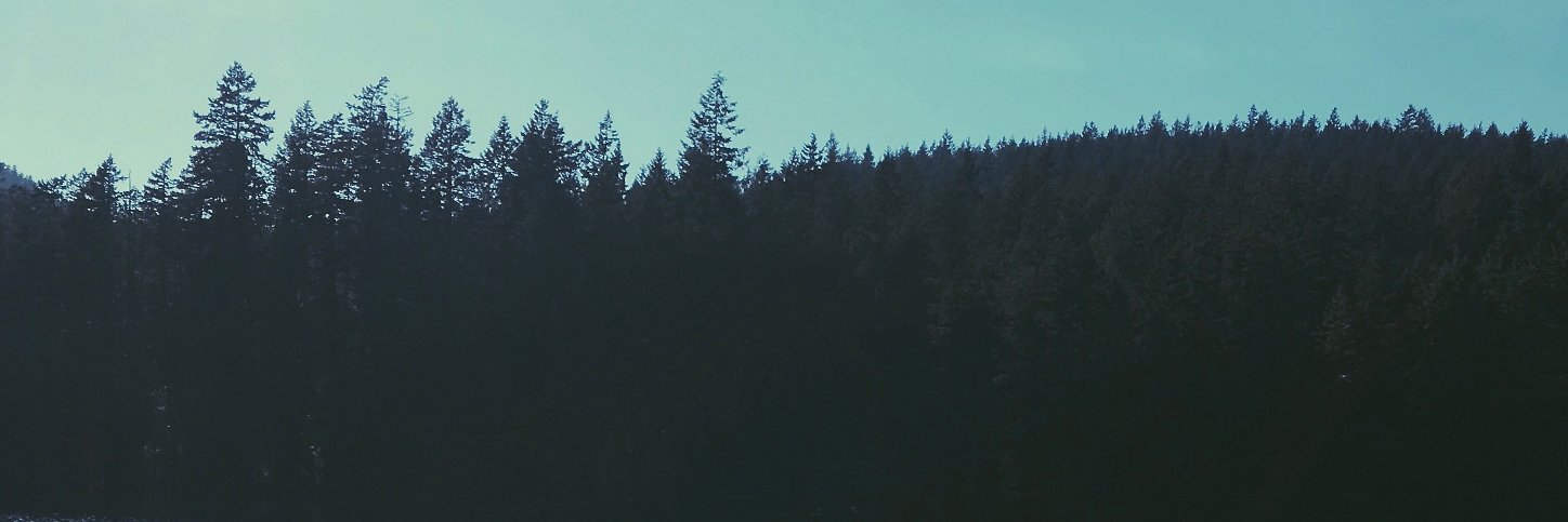 lylacapri's profile banner image