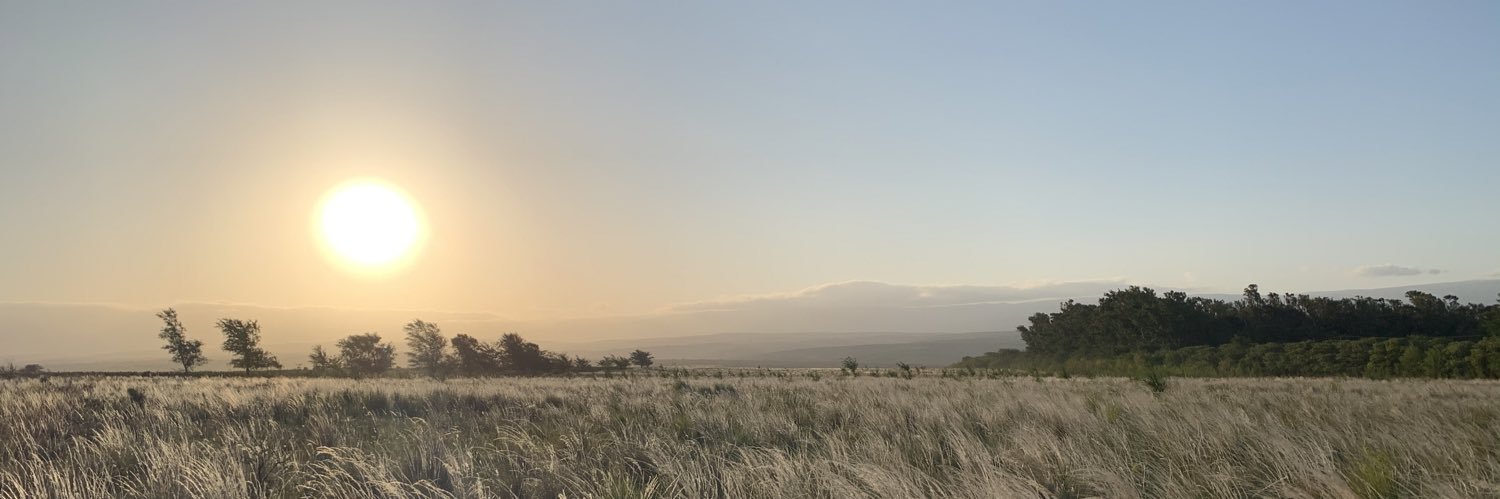 MariaBernardi2's profile banner image