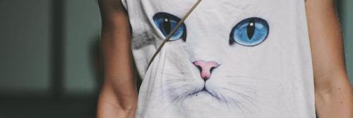 RolonAleja's profile banner image