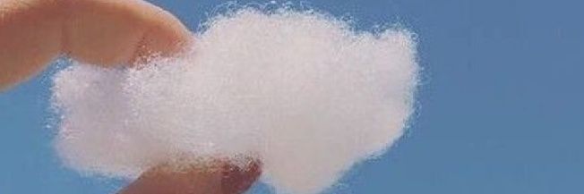 Cami banner