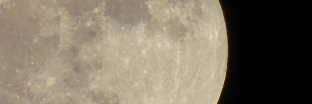 noeminef's profile banner image