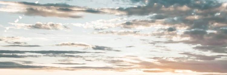 salmadelll's profile banner image