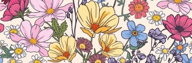 elisedebrango's profile banner image