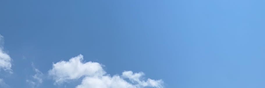 AsianroseZ's profile banner image