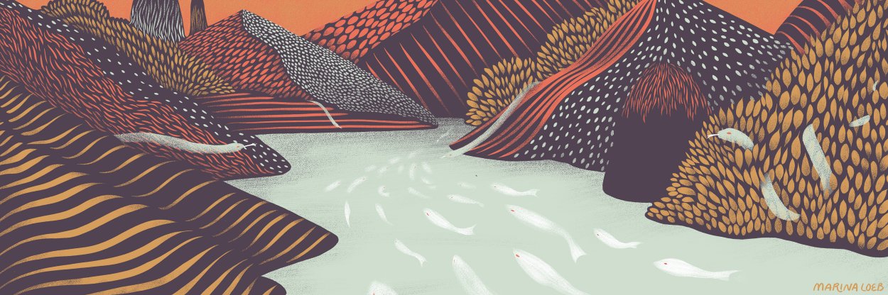 MarinaLoeb's profile banner image