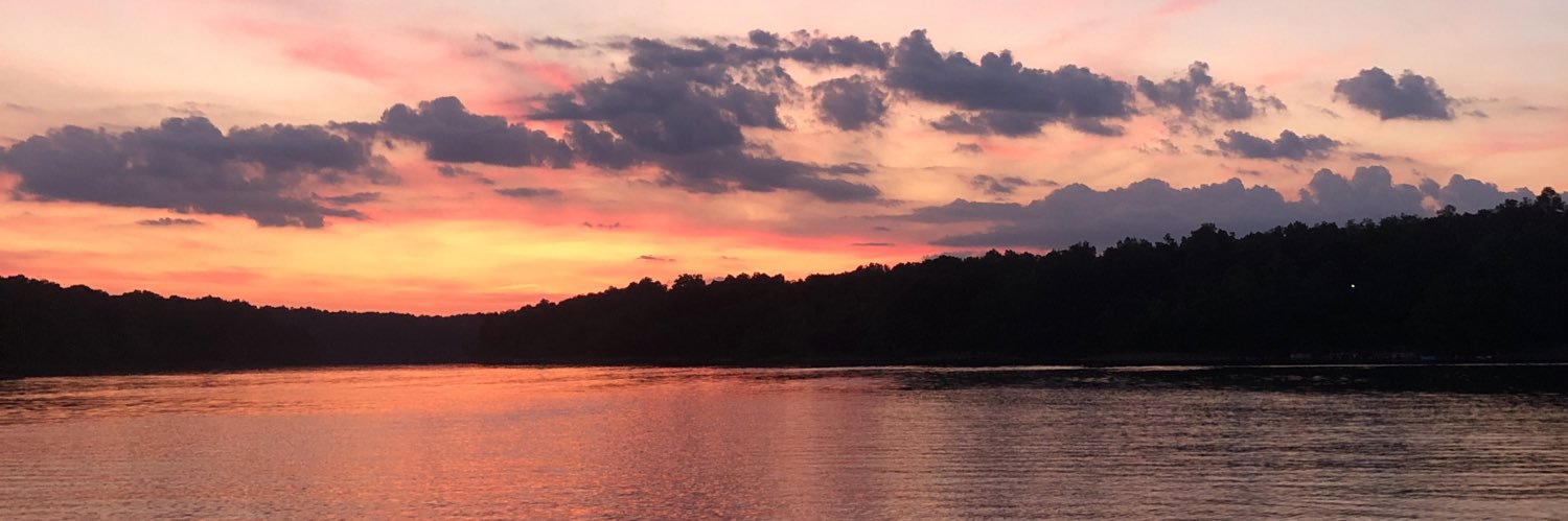 hopelensing's profile banner image