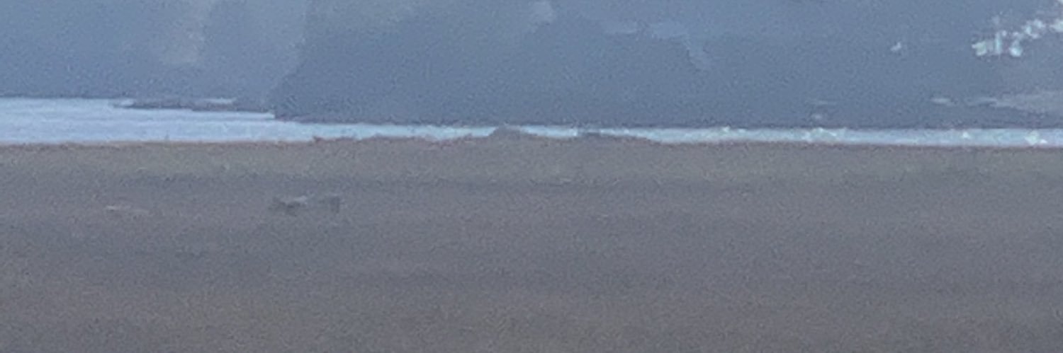 mkmndl's profile banner image