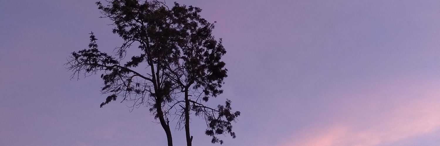 constelunares's profile banner image